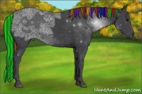 Horse Color:Painted Black Ice Rabicano 