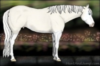 Horse Color:Cremello Roan Dun Splash 
