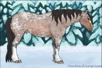Horse Color:Bay Ice Roan 