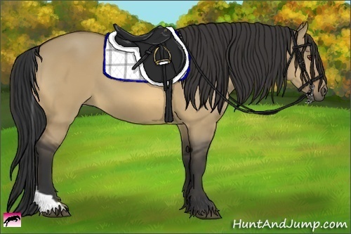 Horse Color:Buckskin Dun Tobiano