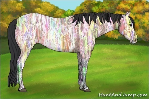 Horse Color:Bay Ice Roan Rabicano 
