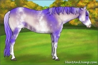 Horse Color:Watercolor White Spotted Brown Roan Onyx