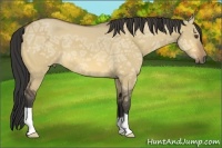 Horse Color:Buckskin Ice Dun