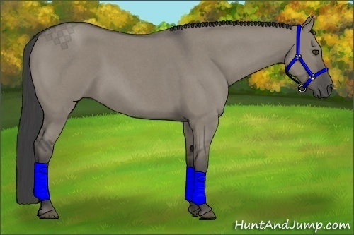 Horse Color:Smoky Grullo Roan 