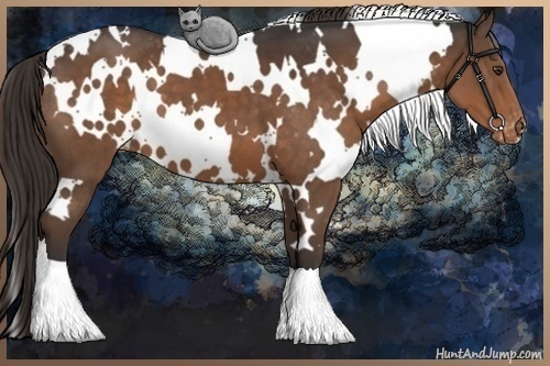 Horse Color:White Spotted Liver Chestnut Appaloosa