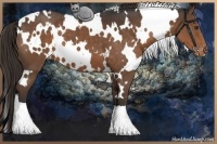 Horse Color:White Spotted Liver Chestnut Varnish