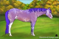 Horse Color:Watercolor Bay Ice Sabino 