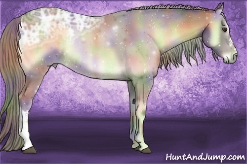 Horse Color:Nacre Chocolate Palomino Ice Onyx 