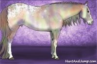 Horse Color:Nacre Chocolate Palomino Ice Onyx