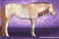 Horse Color:Nacre Gold Champagne Ice Onyx