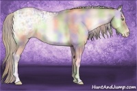 Horse Color:Nacre Chocolate Palomino Ice Pearl Onyx