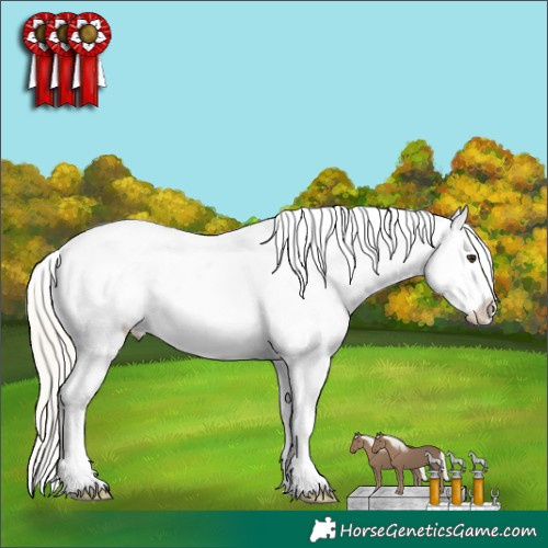 Horse Color:Liver Chestnut Mushroom Varnish