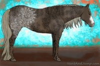 Horse Color:Liver Chestnut Ice