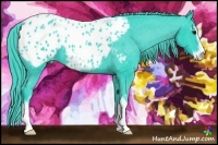 Horse Color:Watercolor Black Sabino Appaloosa 