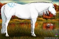 Horse Color:Watercolor Black Sabino Appaloosa