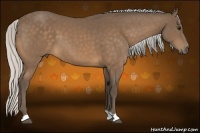 Horse Color:Silver Buckskin