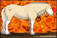 Horse Color:Palomino Roan Splash