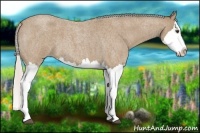 Horse Color:Silver Buckskin Roan Splash 