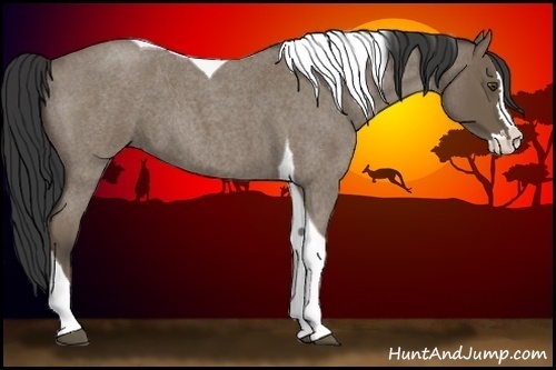 Horse Color:Buckskin Roan Splash Tobiano