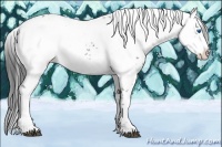 Horse Color:Black Frame 