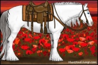 Horse Color:Liver Chestnut Frame