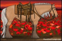 Horse Color:Silver Bay 