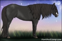 Horse Color:Liver Chestnut Frame 