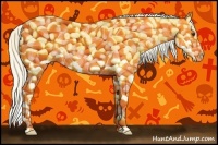 Horse Color:Palomino Roan Splash 