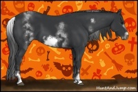 Horse Color:White Spotted Black Sabino Frame 