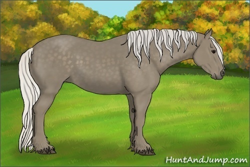 Horse Color:Silver Smoky Black 