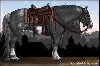 Horse Color:White Spotted Black Sabino Frame