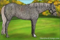 Horse Color:Silver Black Ice 