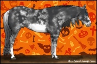 Horse Color:White Spotted Black Sabino Frame 