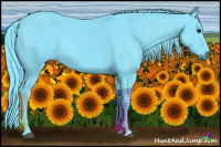 Horse Color:Watercolor Black 