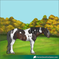 Horse Color:Brown Tobiano
