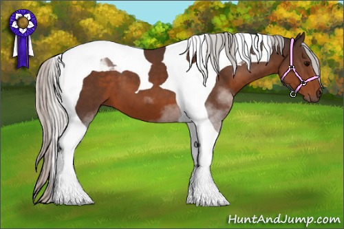 Horse Color:Silver Brown Tobiano 