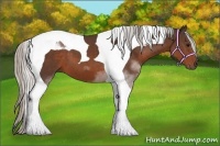 Horse Color:Silver Brown Tobiano 