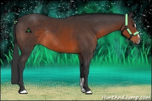 Horse Color:Brown Sabino Rabicano 
