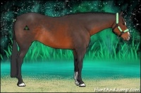 Horse Color:Brown Sabino Rabicano
