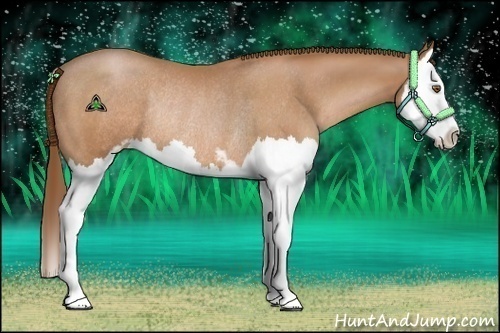 Horse Color:Brown Pearl Sabino Splash Rabicano 