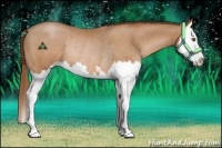 Horse Color:Brown Pearl Sabino Splash Rabicano