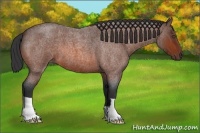 Horse Color:Bay Roan 