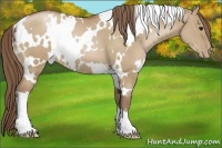 Horse Color:White Spotted Grullo Pearl