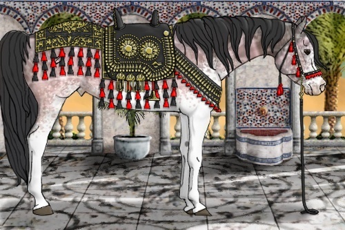 Horse Color:White Spotted Bay Ice 