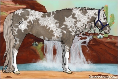 Horse Color:Chocolate Palomino Ice Roan 