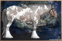Horse Color:White Spotted Liver Chestnut Varnish