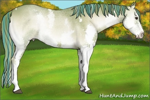 Horse Color:Painted Watercolor White Spotted Red Onyx Splash Rabicano 