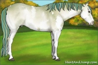 Horse Color:Painted Watercolor White Spotted Red Onyx Splash Rabicano 
