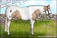 Horse Color:Brown Pearl Splash Tobiano
