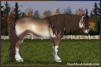 Horse Color:Red Onyx Roan 